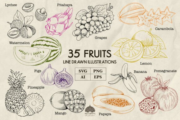Download Fruits Line Art Svg PNg Eps - Png Collection