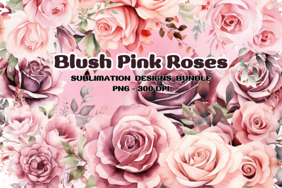 Download Blush Pink Roses Flowers Watercolor PNG - Png Collection
