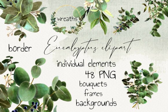 Download Eucalyptus Clipart Set PNG - Png Collection