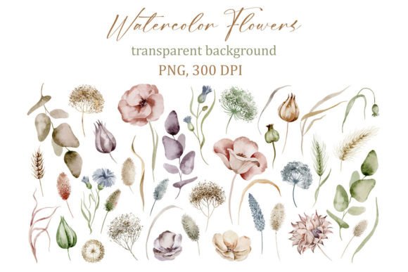 Download Delicate Watercolor Floral Elements, PNG - Png Collection