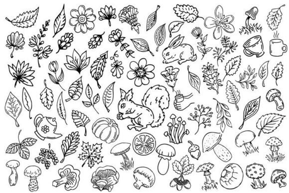 Download Outline Doodle Illustrations - Premium Resources