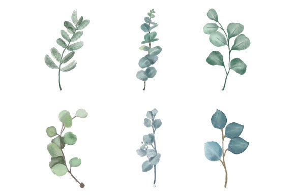 Download Watercolor Eucalyptus Clipart SVG PNG - Png Collection